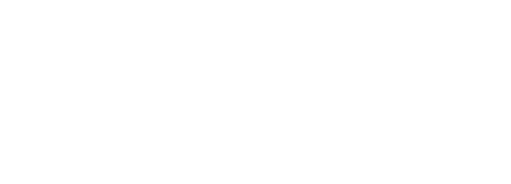 Dorne Solutions